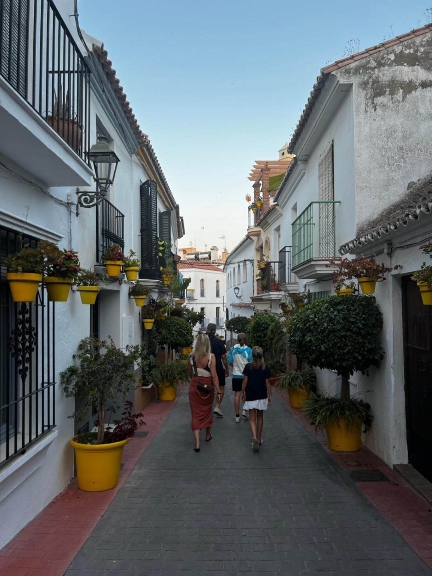 Playa Cristo Amazing Beach Terrace Appartment Эстепона Экстерьер фото